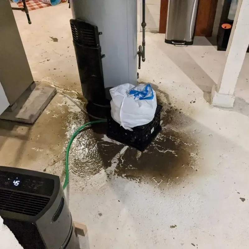 Sewage Backup Cleanup Service in La Pryor, TX